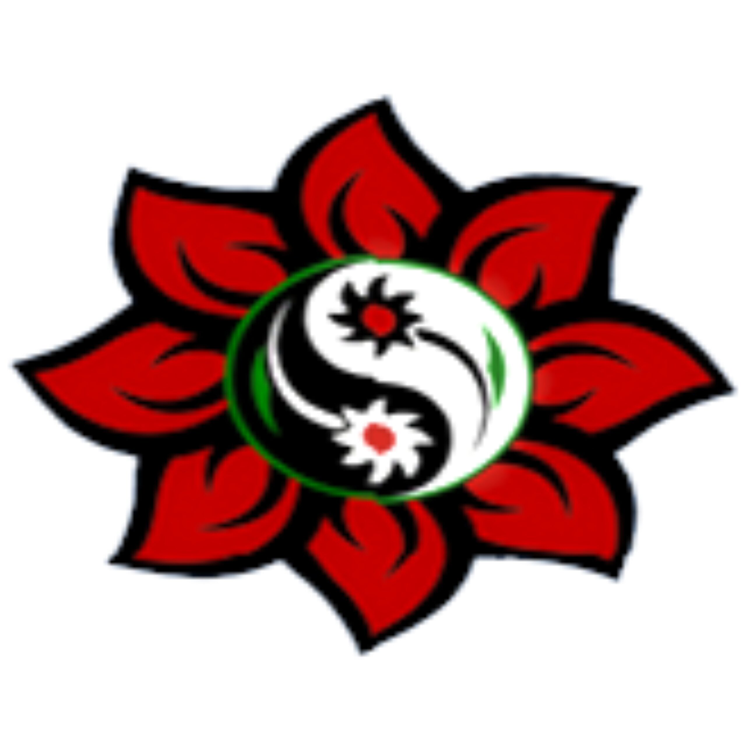 consultation for indoor plants Austin