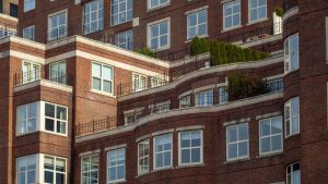 Plant Care Service for Apartment Complexes: A Complete Guide