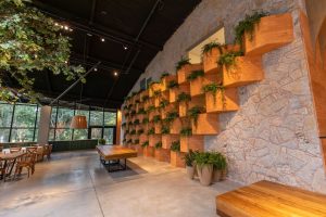 Indoor Plant Installation Cost Austin: What to Expect