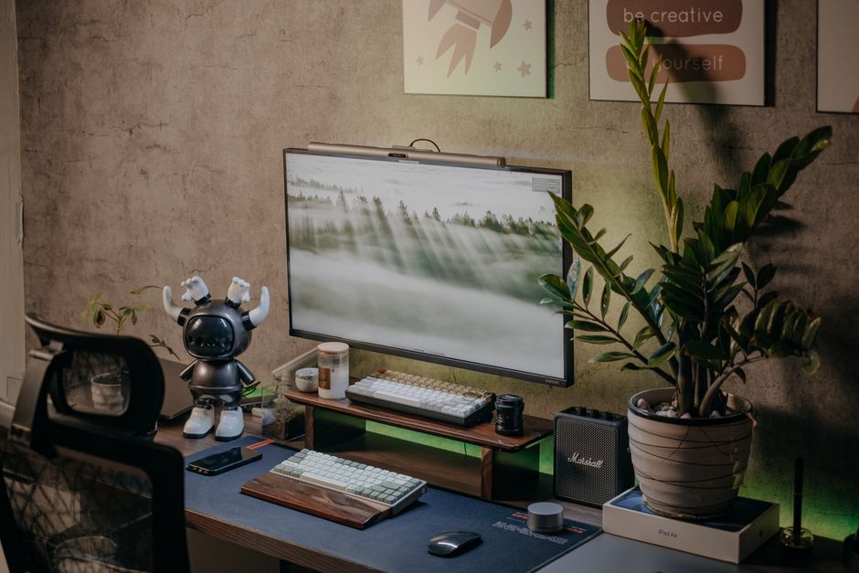 Low Light Plants for Office Corners: 7 Hardy Options