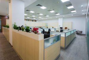 Commercial Plant Design for Healthcare Offices: A Wellness Guide