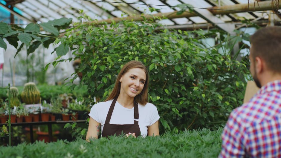 Plant Leasing vs Buying for Businesses: Which Fits Your Needs?