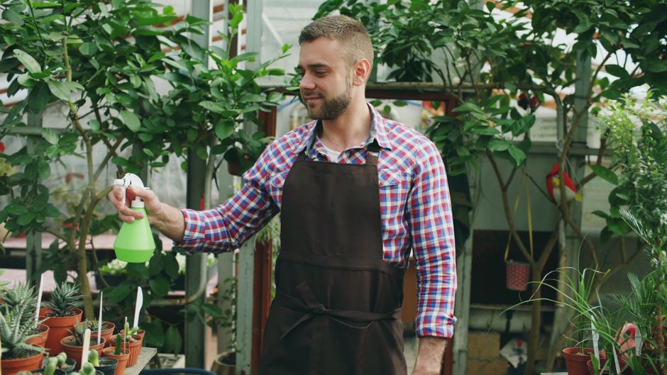 Plant Maintenance Packages for Austin Businesses: What to Expect