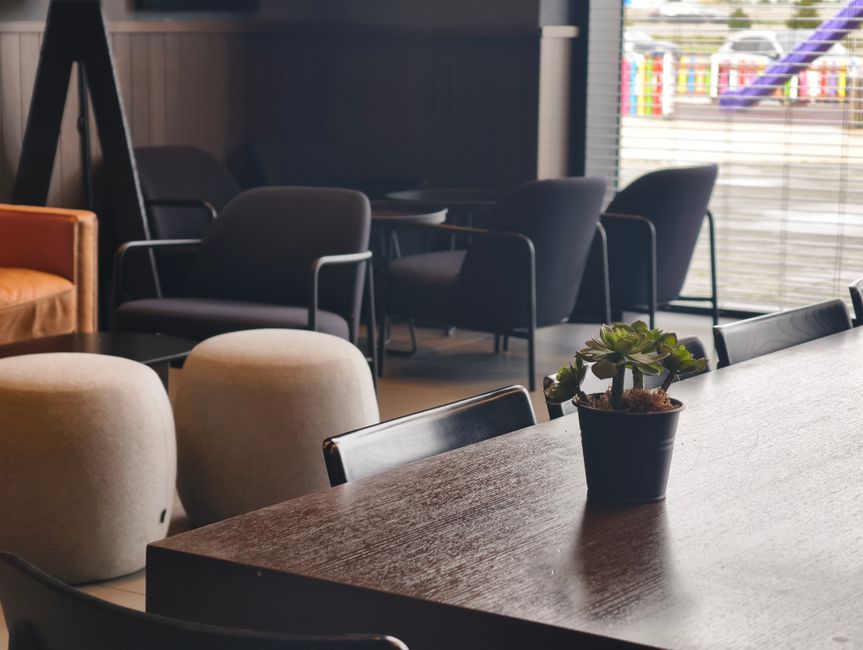 Custom Plant Arrangements for Business Spaces