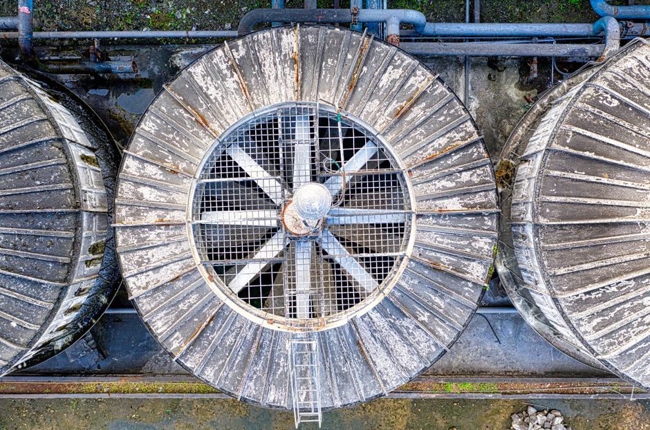 Rotating Plant Maintenance Program Austin: Year-Round Care