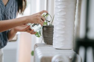 Indoor Plant Care for High Humidity Spaces: A Complete Guide